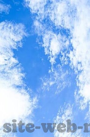英超足球比赛比分-英超风云，比分背后的激情与战略交响曲